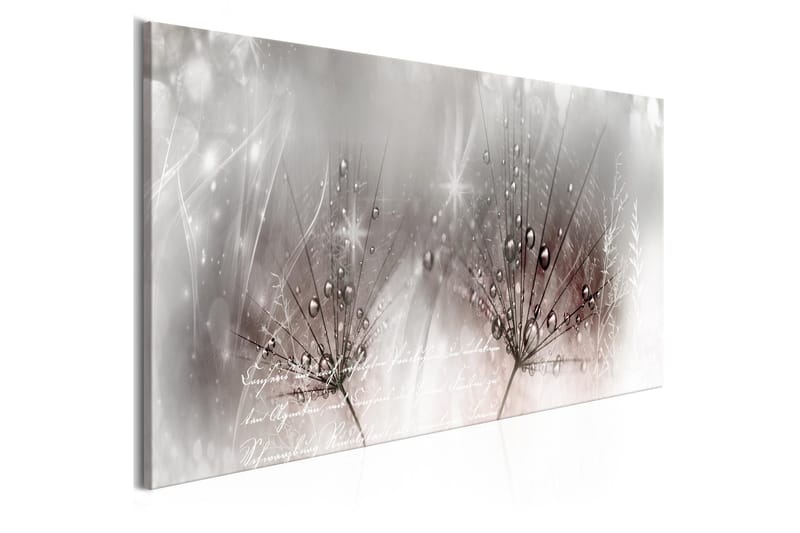 Tavla Drops Of Dew 1 Part Pink Narrow 120X40 Rosa, Artgeist sp. z o. o.