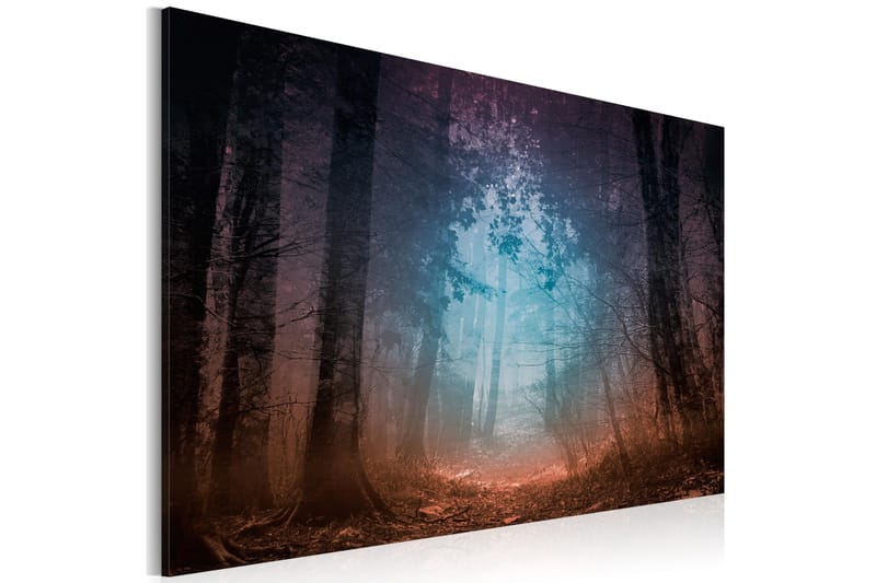 Tavla Edge Of The Forest 60x40, Artgeist sp. z o. o.