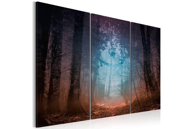Tavla Edge Of The Forest Triptych 120x80, Artgeist sp. z o. o.
