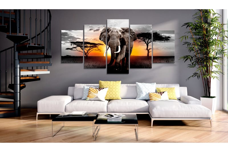 Tavla Elephant At Sunset 200X100 - Artgeist sp. z o. o. - Canvastavla