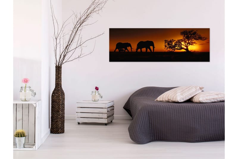 TAVLA Elephant Family (Orange) 150x50, Artgeist sp. z o. o.