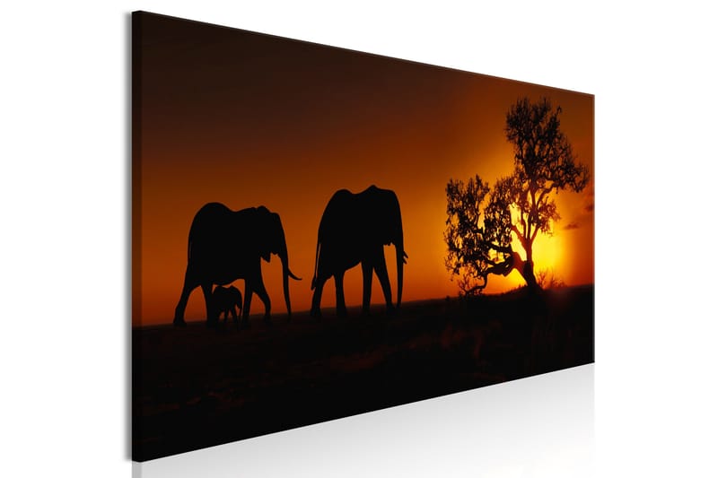 TAVLA Elephant Family (Orange) 150x50 - Artgeist sp. z o. o. - Inredning & dekor - Tavlor & konst - Canvastavla