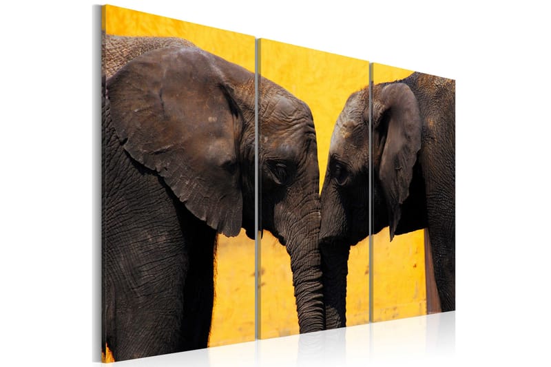 Tavla Elephant Kiss 60x40, Artgeist sp. z o. o.