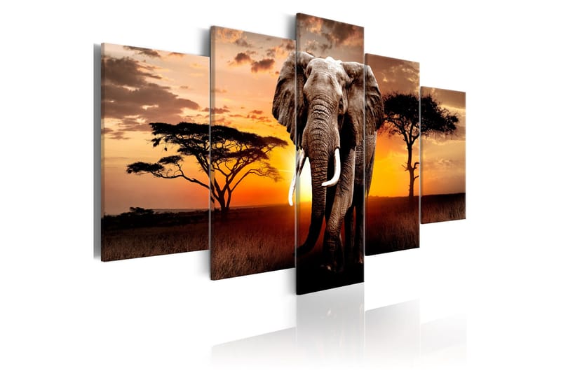 Tavla Elephant Migration 100x50, Artgeist sp. z o. o.