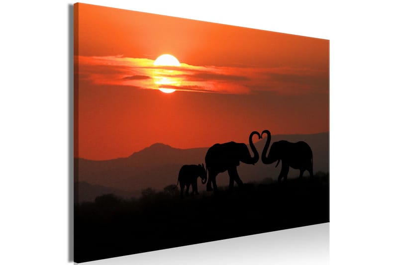 Tavla Elephants in Love (1 Part) Wide 120x80 - Artgeist sp. z o. o. - Inredning & dekor - Tavlor & konst - Canvastavla