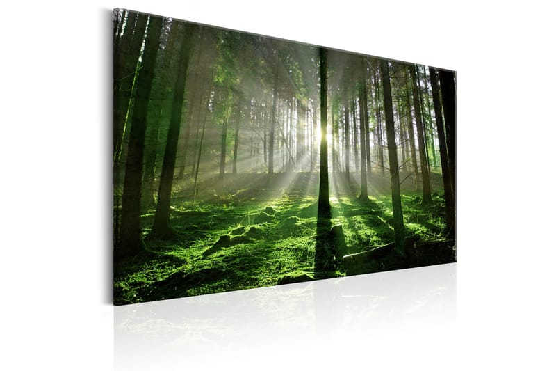 TAVLA Emerald Forest II 120x80 - Artgeist sp. z o. o. - Inredning & dekor - Tavlor & konst - Canvastavla