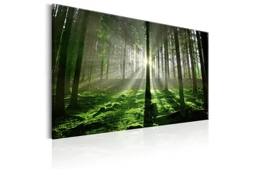 Tavla Emerald Forest II 120x80 - Artgeist sp. z o. o. - Inredning & dekor - Tavlor & konst - Canvastavla
