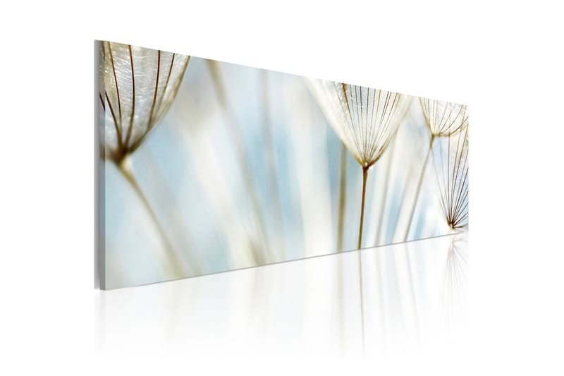 Tavla Ephemeral Moments 120X40 Vit Blommor - Artgeist sp. z o. o. - Inredning & dekor - Tavlor & konst - Canvastavla