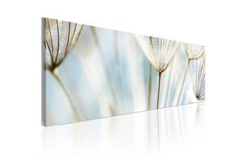 TAVLA Ephemeral moments 135x45
