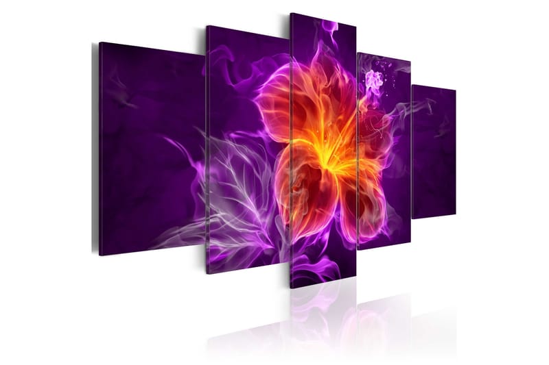 Tavla Esoteric Flower 200x100, Artgeist sp. z o. o.