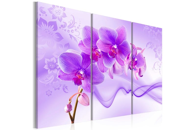 Tavla Ethereal Orchid Violet 60X40 Lila, Artgeist sp. z o. o.