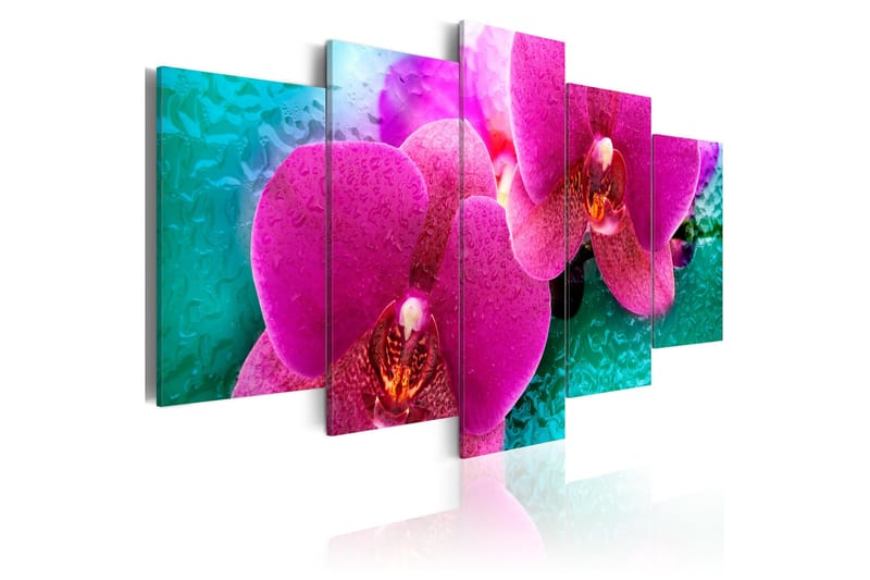 Tavla Exotic Orchids 200x100, Artgeist sp. z o. o.