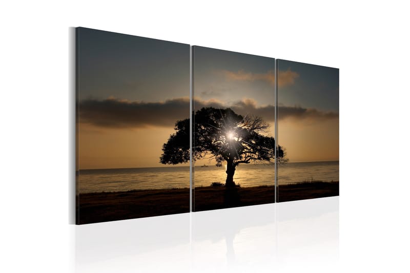 Tavla Extraordinary Nature 120X60 Beige|Svart Landskap - Artgeist sp. z o. o. - Inredning & dekor - Tavlor & konst - Canvastavla