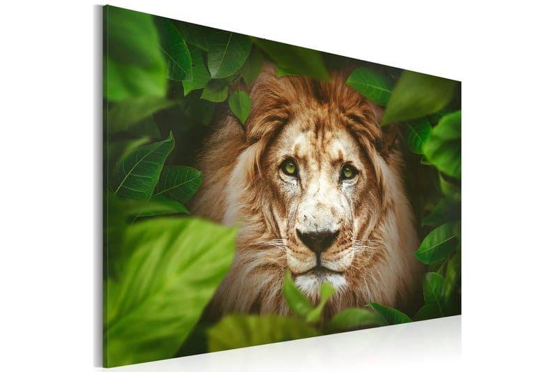 Tavla Eyes Of The Jungle 60x40, Artgeist sp. z o. o.