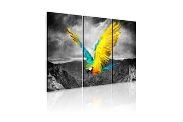TAVLA Fågel-av-paradis 90x60