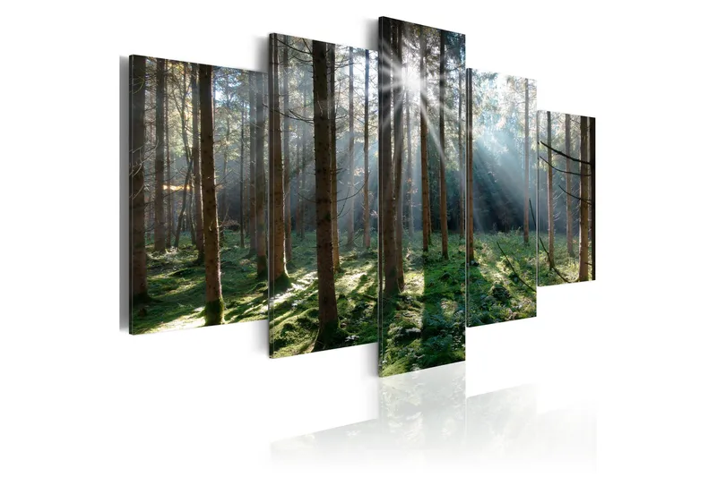 Tavla Fairytale Forest 100x50 - Artgeist sp. z o. o. - Inredning & dekor - Tavlor & konst - Canvastavla