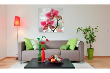 Tavla Fancy orkidé 60x60 - Artgeist sp. z o. o. - Inredning & dekor - Tavlor & konst - Canvastavla