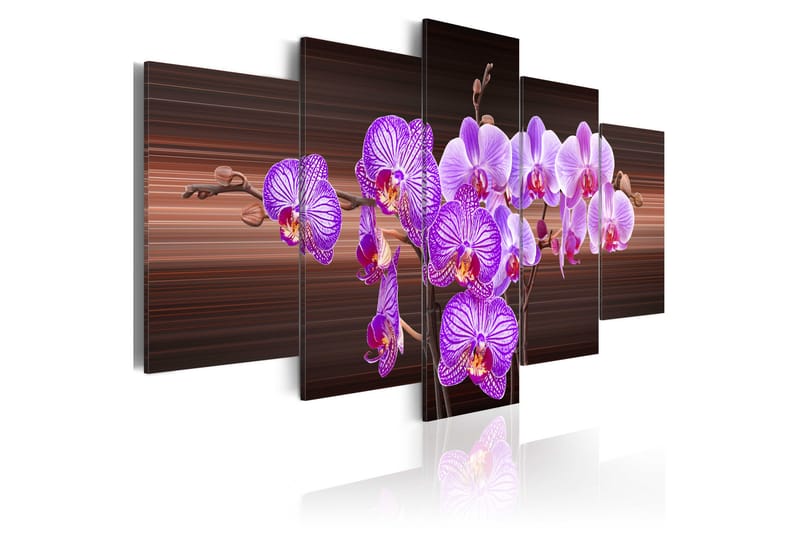 Tavla Flower Of Joy 200X100 Brun - Artgeist sp. z o. o. - Inredning & dekor - Tavlor & konst - Canvastavla