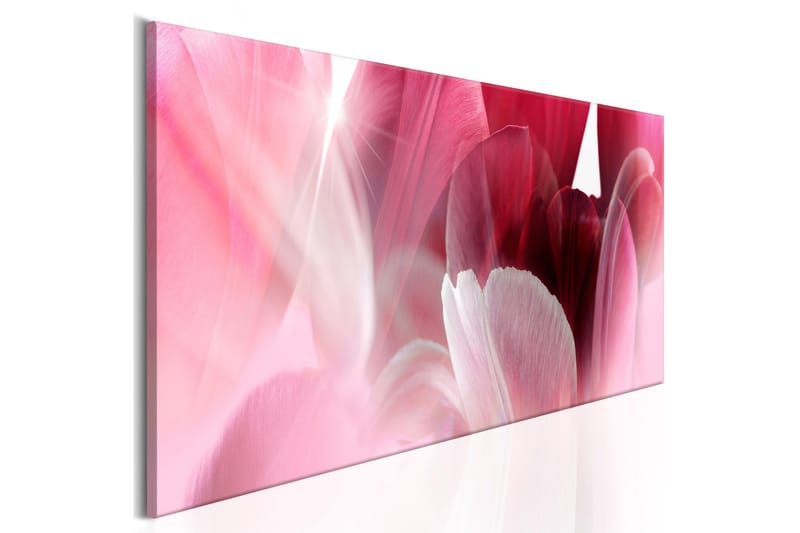 Tavla Flowers Pink Tulips 120x40, Artgeist sp. z o. o.