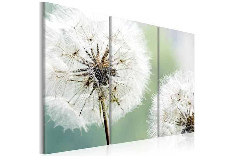 Tavla Fluffy Dandelions 120X80 Flerfärgad|Vit, Artgeist sp. z o. o.