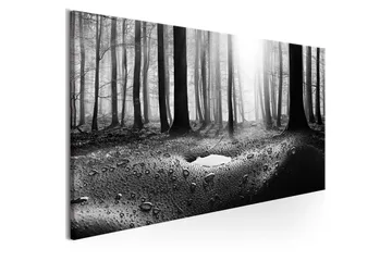 Tavla Forest after Rain (1 Part) Narrow 150x50 - Inredning & dekor - Tavlor & konst - Canvastavla