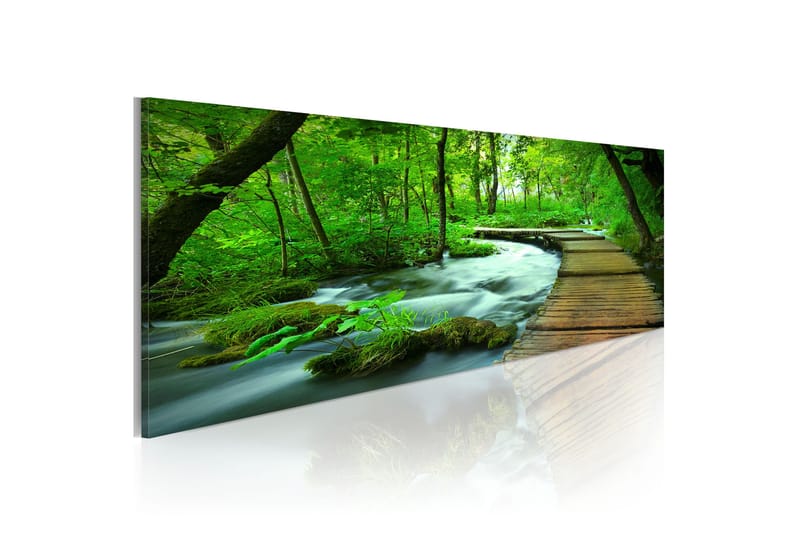 Tavla Forest Broadwalk 120x40, Artgeist sp. z o. o.