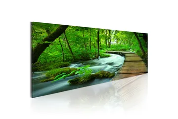 Tavla Forest Broadwalk 120X40 Grön