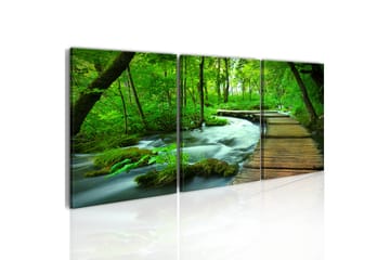 Tavla Forest Broadwalk Triptych 120X40 Grön