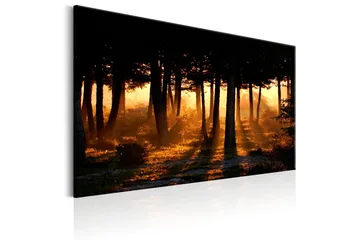 Tavla Forest Dawn 120x80 - Artgeist sp. z o. o. - Inredning & dekor - Tavlor & konst - Canvastavla