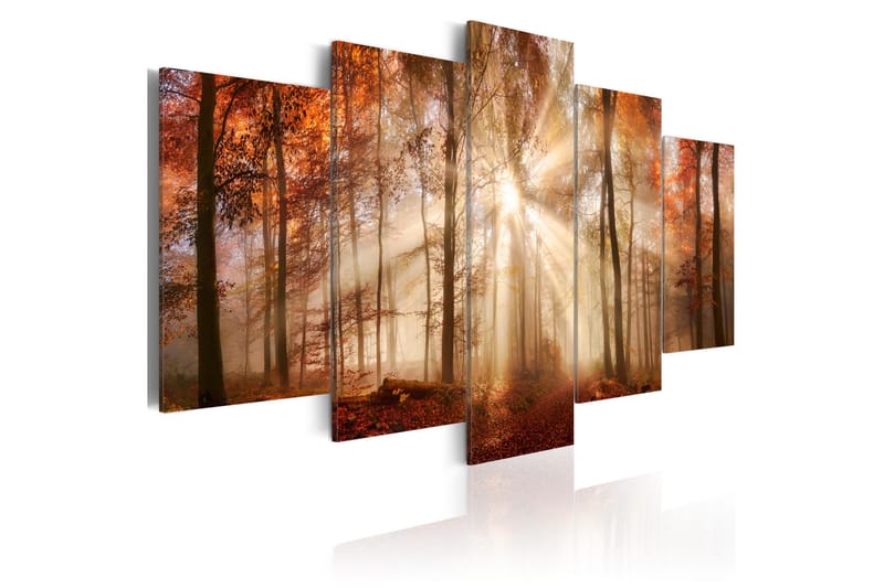 Tavla Forest Fog 100X50 Brun|Vit - Artgeist sp. z o. o. - Inredning & dekor - Tavlor & konst - Canvastavla