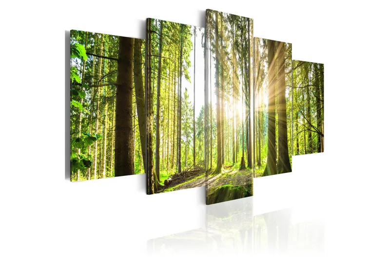 Tavla Forest Kingdom 200x100, Artgeist sp. z o. o.