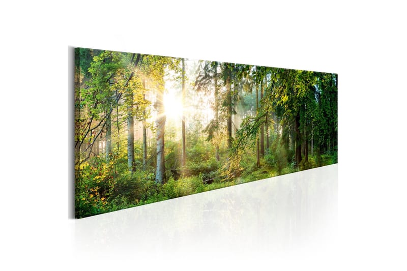 Tavla Forest Shelter 120x40 - Artgeist sp. z o. o. - Inredning & dekor - Tavlor & konst - Canvastavla
