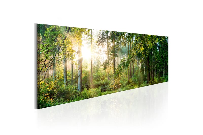 Tavla Forest Shelter 150X50 Grön|Flerfärgad Landskap - Artgeist sp. z o. o. - Inredning & dekor - Tavlor & konst - Canvastavla