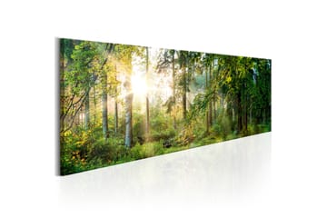 Tavla Forest Shelter 150X50 Grön|Flerfärgad Landskap