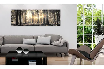 Tavla Forest Sun 135x45 - Artgeist sp. z o. o. - Inredning & dekor - Tavlor & konst - Canvastavla