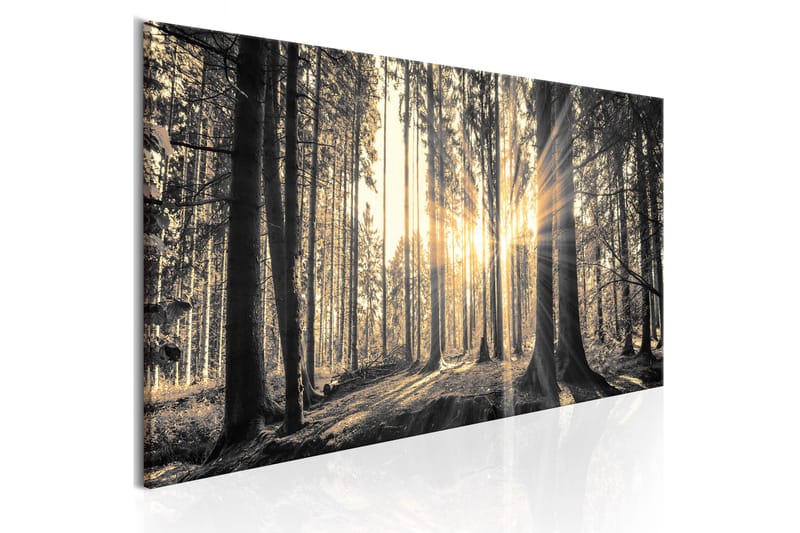 Tavla Forest Sun 150X50 Flerfärgad Landskap - Artgeist sp. z o. o. - Canvastavla