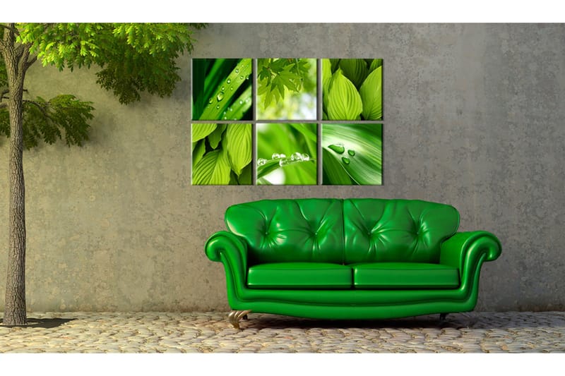 Tavla Fresh Green Leaves 120x80 - Artgeist sp. z o. o. - Inredning & dekor - Tavlor & konst - Canvastavla