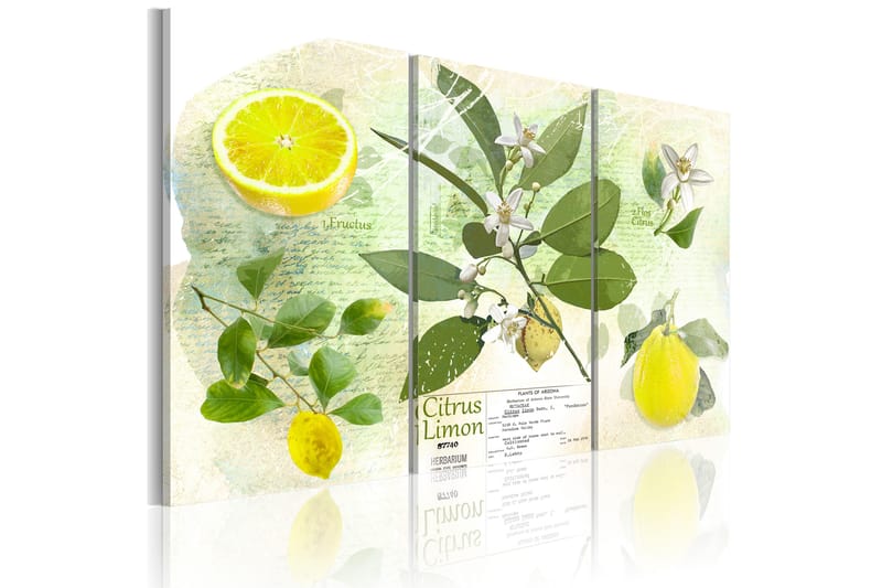 Tavla Fruit Lemon 120X80 Flerfärgad|Vit - Artgeist sp. z o. o. - Inredning & dekor - Tavlor & konst - Canvastavla