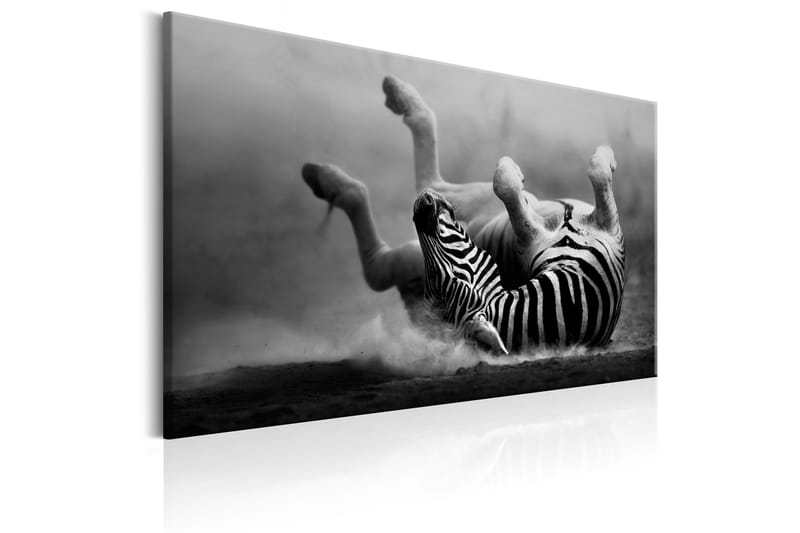 TAVLA Fun in the Dust 90x60 - Artgeist sp. z o. o. - Inredning & dekor - Tavlor & konst - Canvastavla