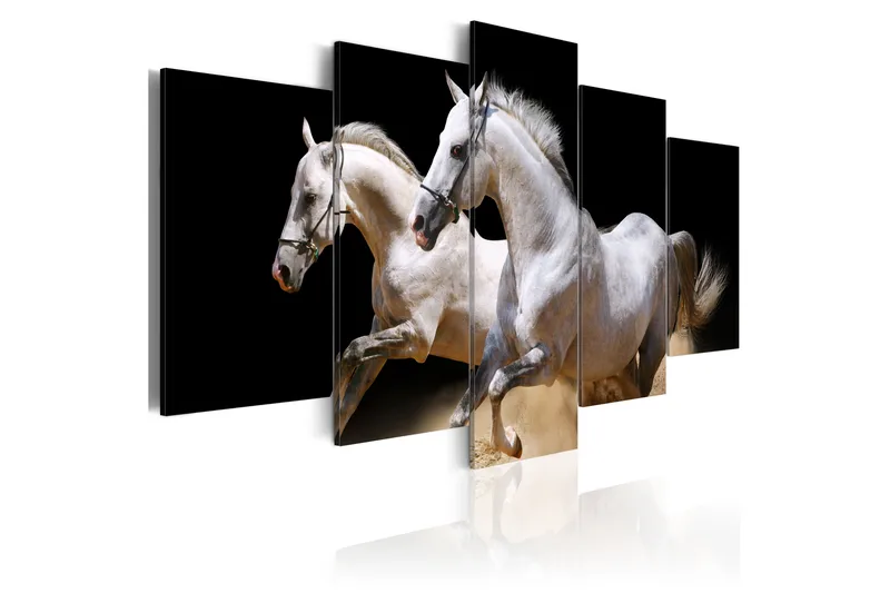 Tavla Gallop- Freedom And Power 100X50 Vit|Svart, Artgeist sp. z o. o.