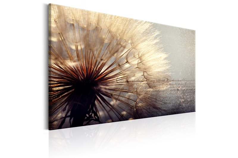 Tavla Gentleness of Summer 120x80 - Artgeist sp. z o. o. - Inredning & dekor - Tavlor & konst - Canvastavla