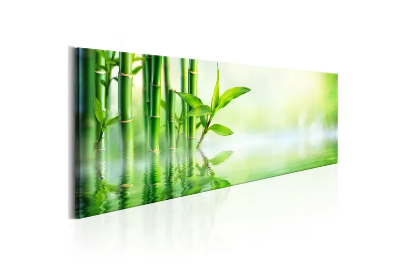 Tavla Green Bamboo 120X40 Grön|Vit, Artgeist sp. z o. o.