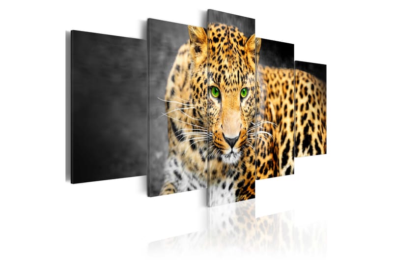 Tavla Green-Eyed Leopard 100X50 Flerfärgad - Artgeist sp. z o. o. - Inredning & dekor - Tavlor & konst - Canvastavla