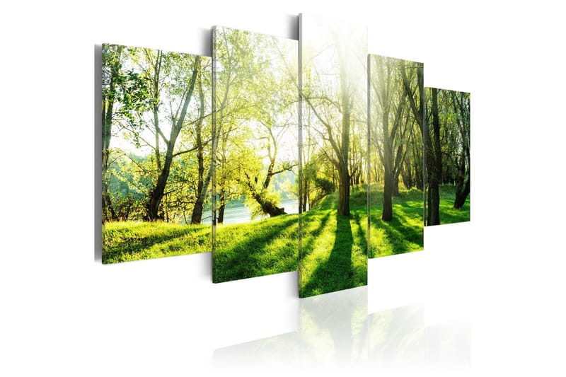 Tavla Green Glade 100x50, Artgeist sp. z o. o.
