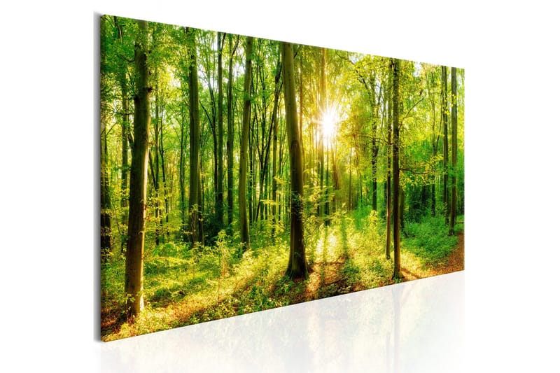 Tavla Green Magic 120x40, Artgeist sp. z o. o.