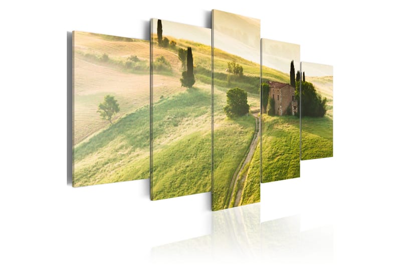 Tavla Green Tuscany 100x50, Artgeist sp. z o. o.