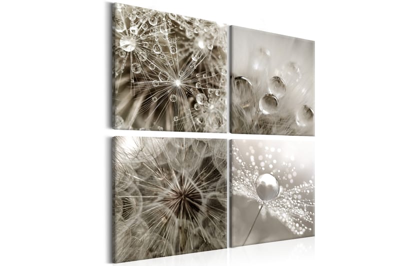 Tavla Grey Dandelion 40X40 Grå - Artgeist sp. z o. o. - Inredning & dekor - Tavlor & konst - Canvastavla