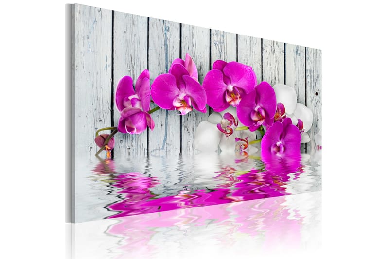 Tavla Harmoni Orkidé 60X40 Rosa|Grå Blommor - Artgeist sp. z o. o. - Inredning & dekor - Tavlor & konst - Canvastavla