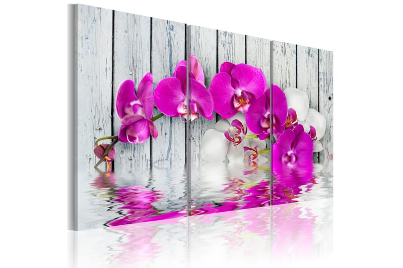 Tavla Harmony Orchid Triptych 120x80, Artgeist sp. z o. o.