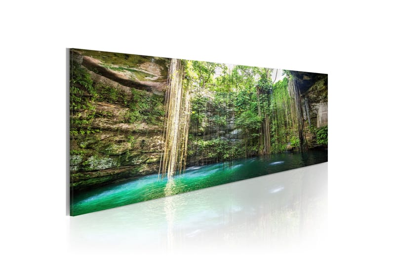 Tavla Hidden Treasure Of The Nature 135x45, Artgeist sp. z o. o.
